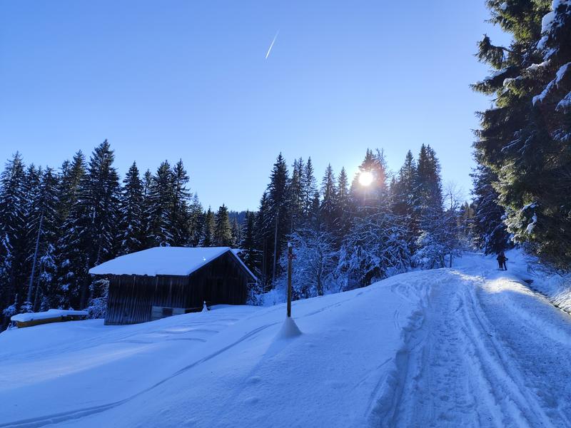 Boucle de l'Avenaz - sentier raquettes_Cordon