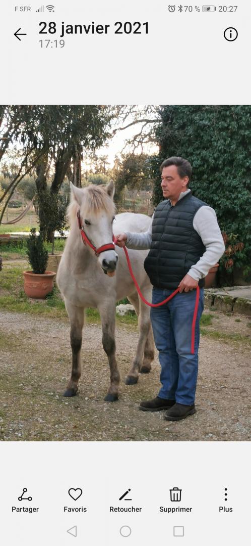 Gîte du Grand Mas du Roy, Arles - photo 10