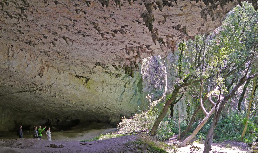 Sur les traces des bergers du Néolithique