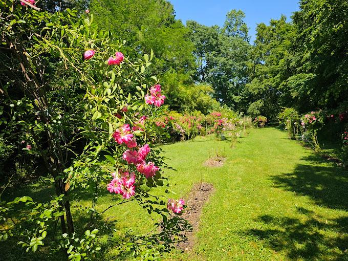 Jardin du Logis de Chênard