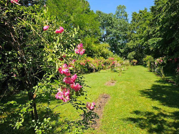 Jardin du Logis de Chênard
