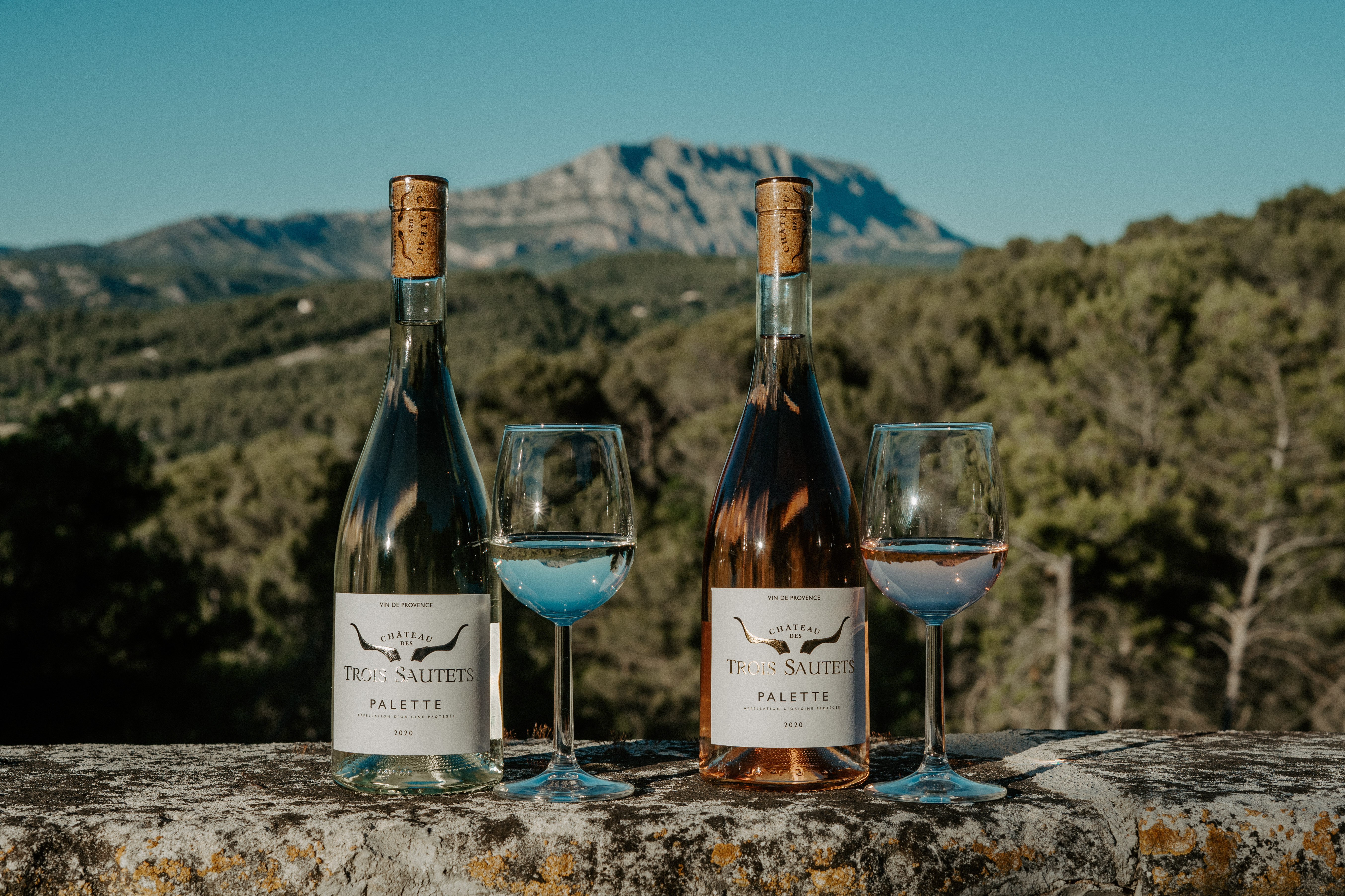 Château des trois Sautets