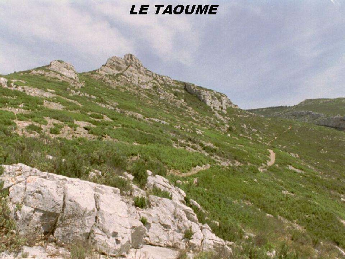 Circuit pédestre sur les pas de Marcel Pagnol : "Le Taoumé" — photo 2