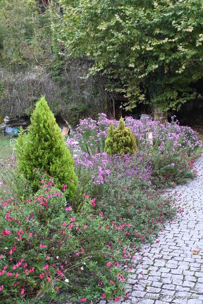 Gîte** Le Clos Dauphin à La Balme les Grottes - Balcons du Dauphiné - Isère