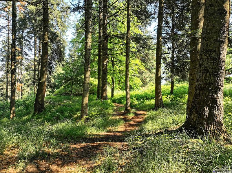 Parc de Maubourg - Haute-Loire - Saint-Maurice-de-Lignon