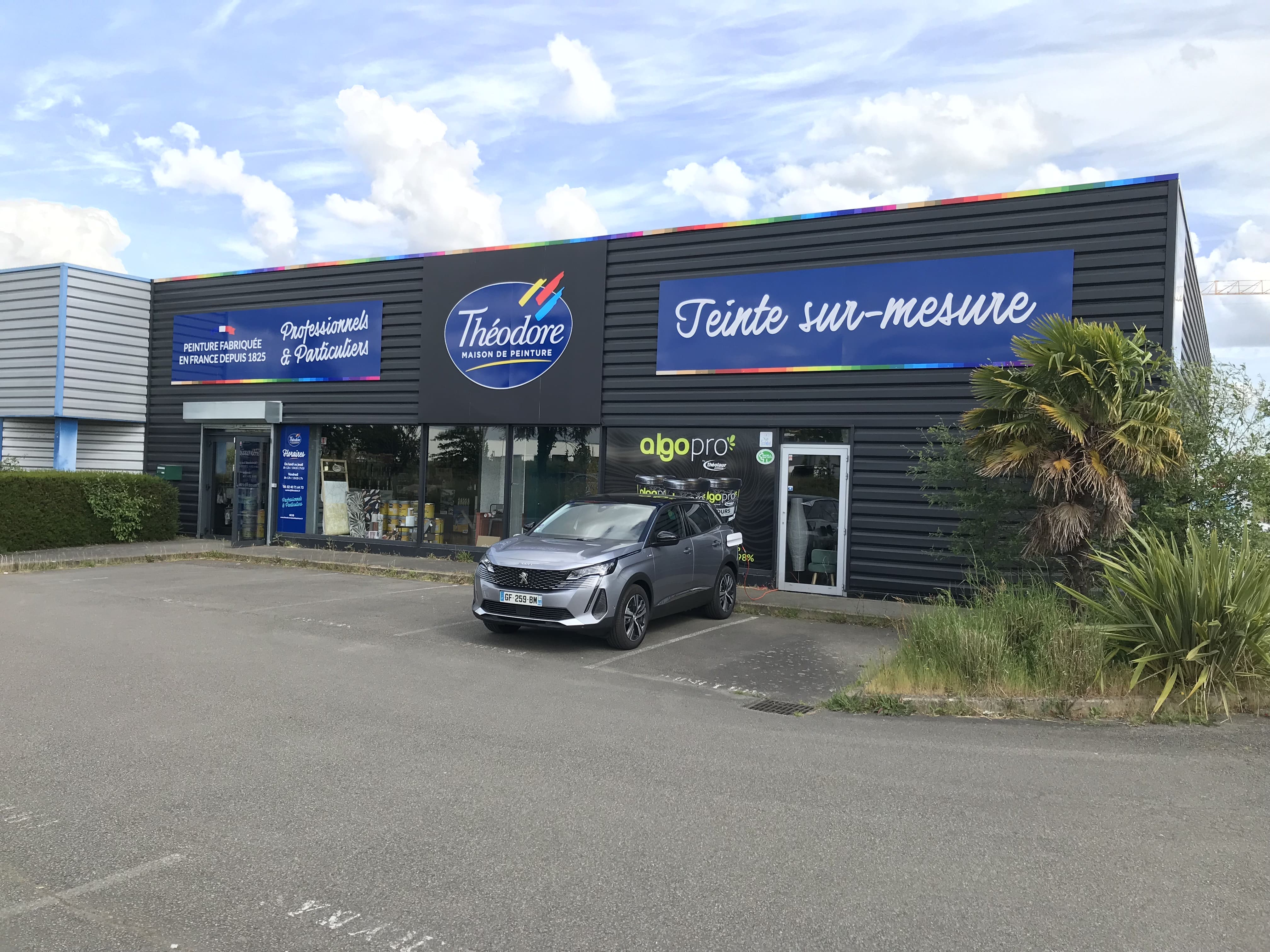 Théodore maison de peinture