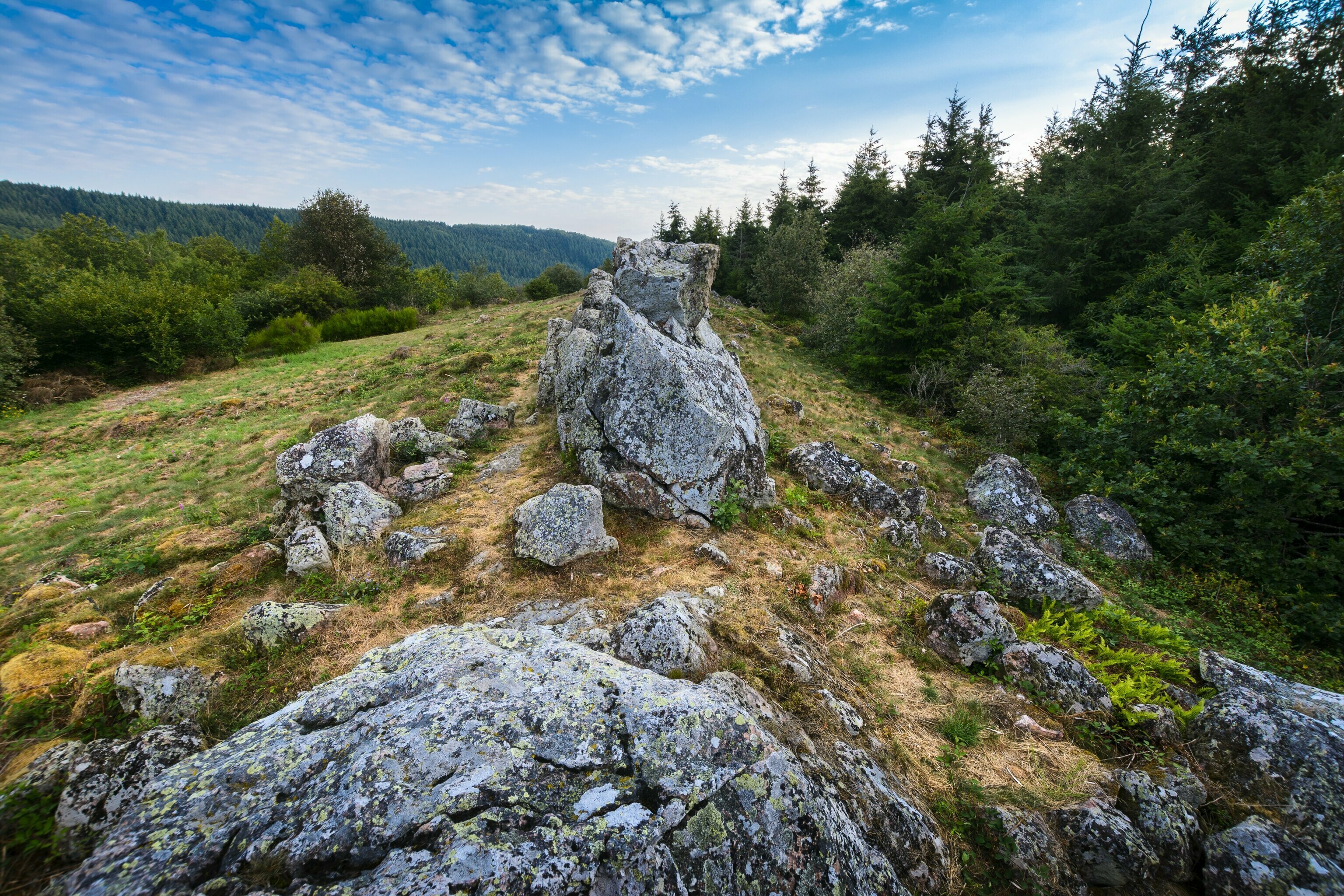 Micro aventure à Chiroubles
