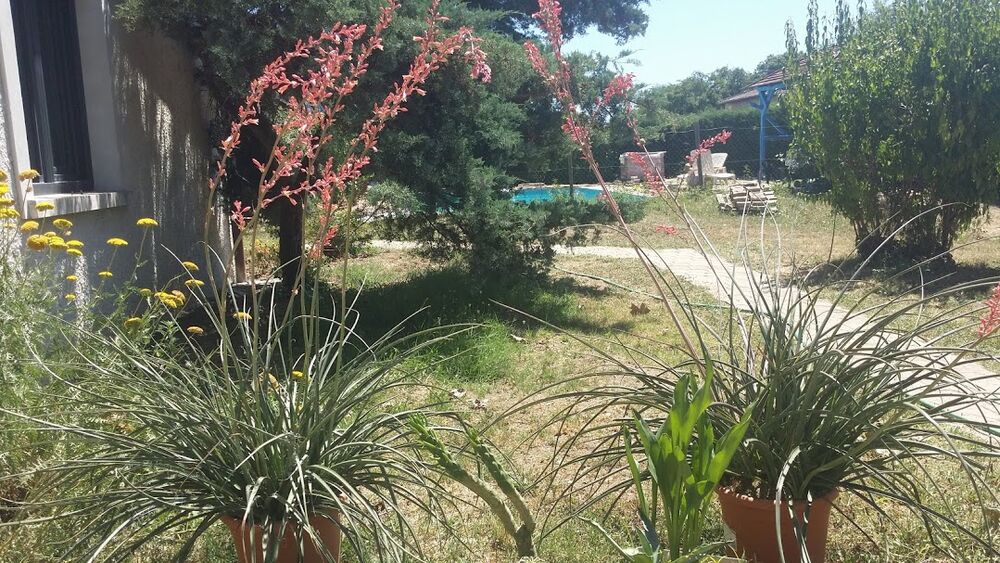 La Maison du Bonheur