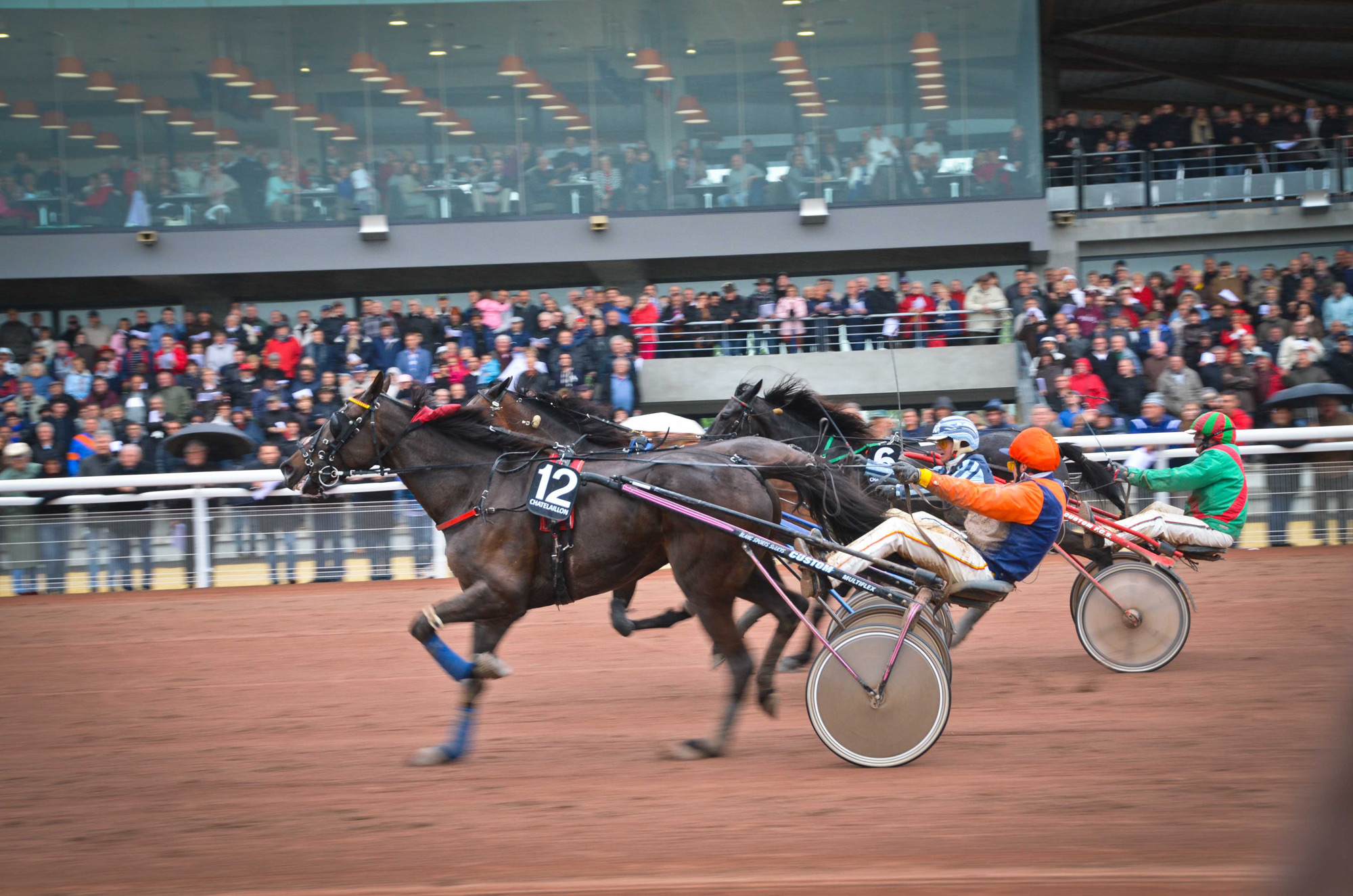 Courses à l'hippodrome