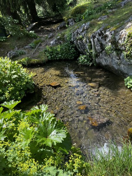 Jardin Botanique La Jaysinia - Visite Groupe