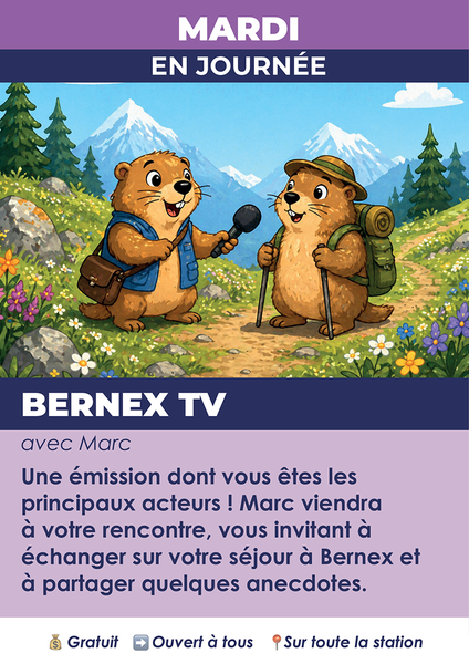 Affiche de l'animation