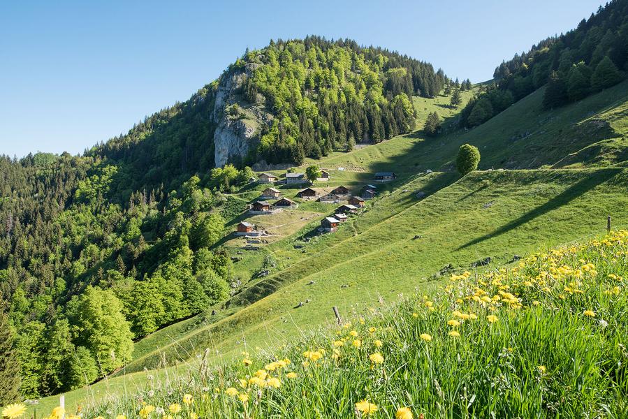 Communauté de Communes du Haut-Chablais