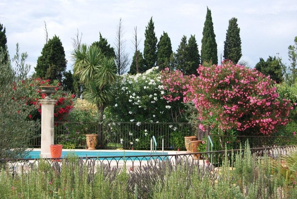 Le Tournesol, Saint-Rémy-de-Provence - photo 19