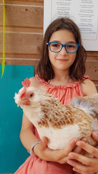 une petite fille avec une poule dans les bras