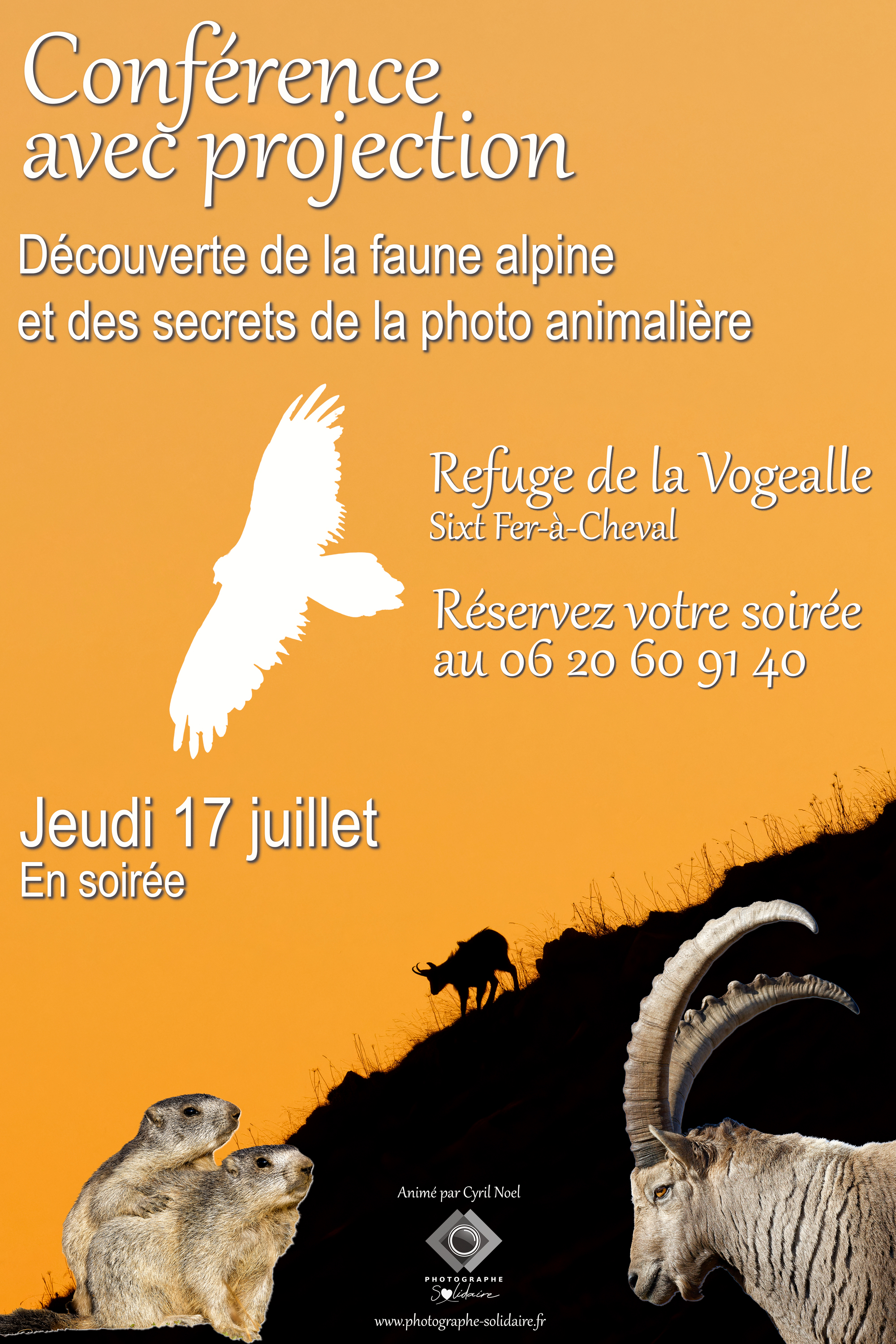 Projection en refuge : nature, montagne et secrets de la photo animalière