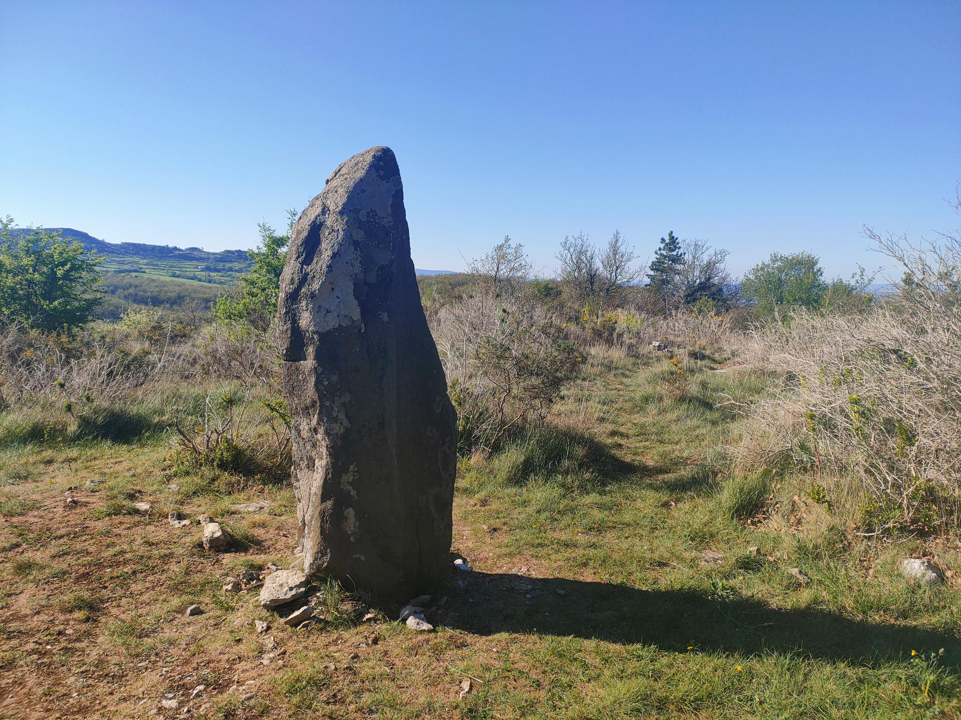 Menhir Chante épine Peyregrosse - Crédit Gûlwen Heide