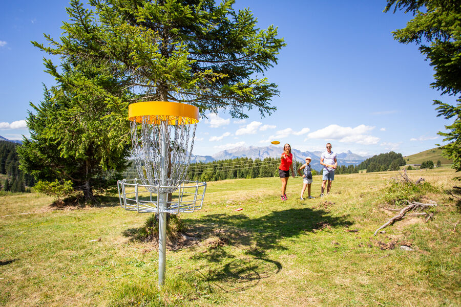 Disc golf