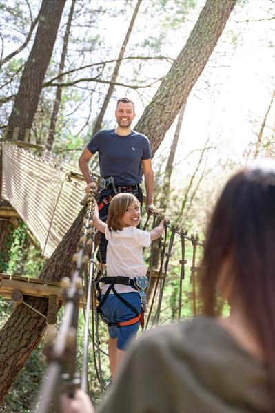 Parcours aventure dans les arbres 