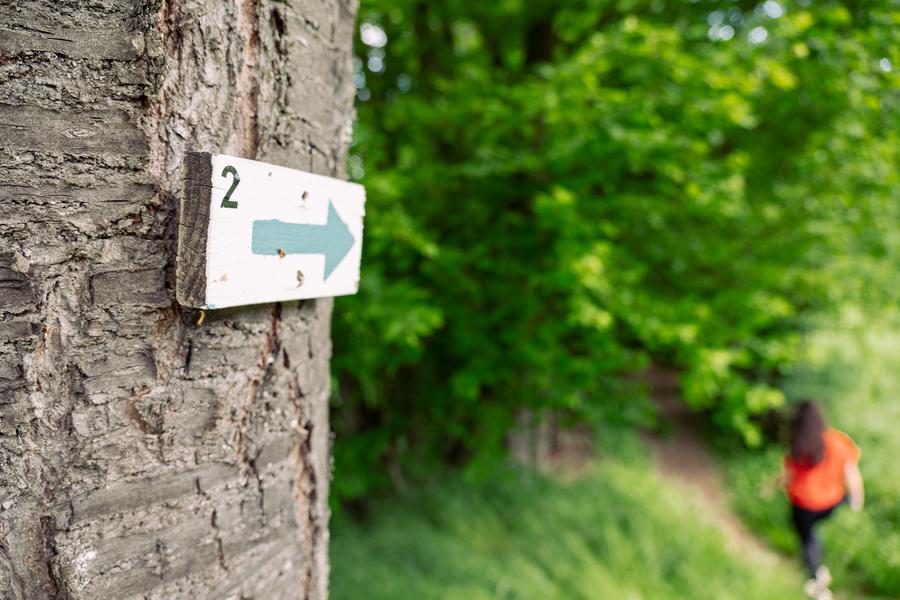 Image illustrative