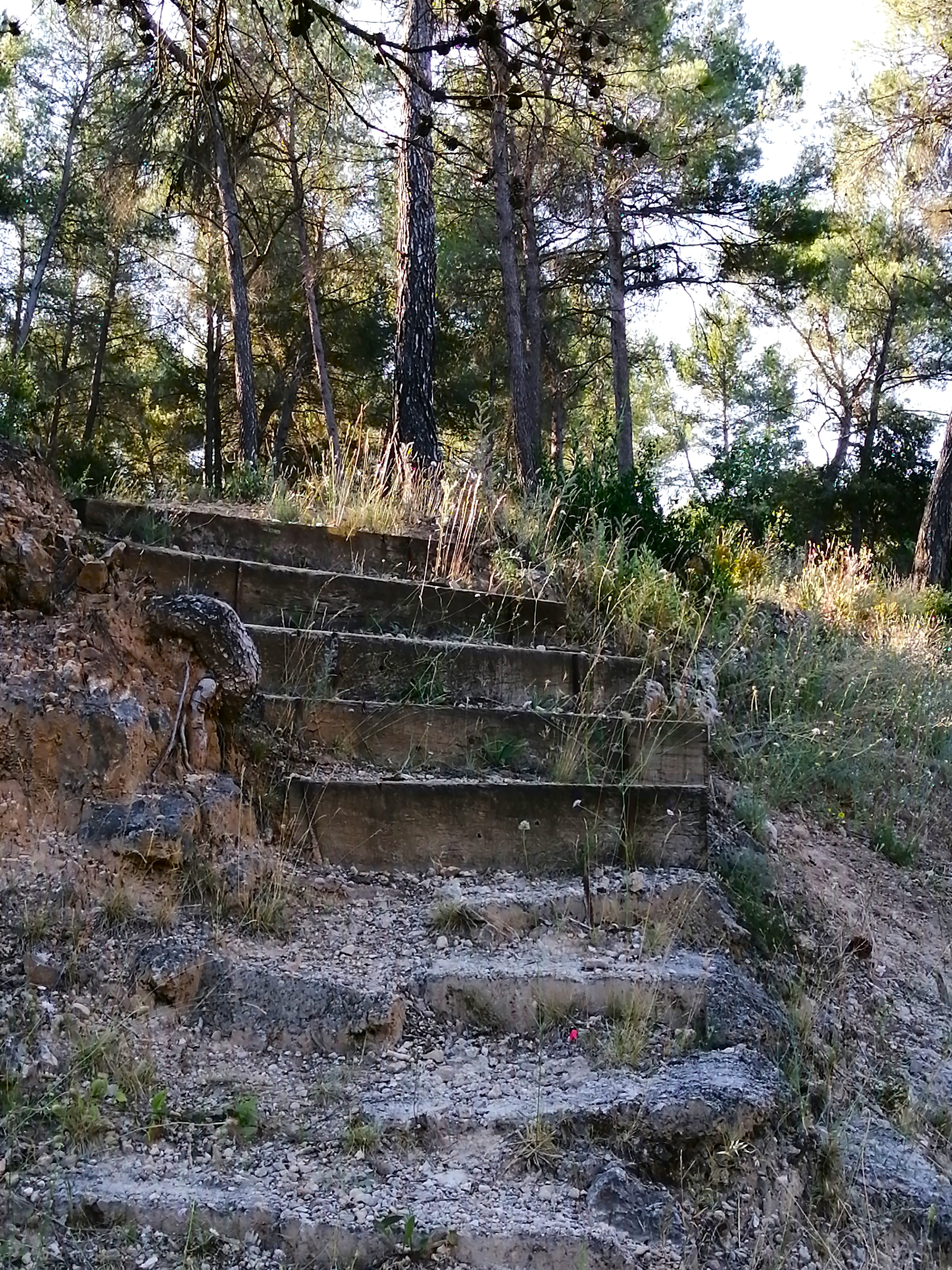 Sentier du Bois du Verdillon, Gardanne - photo 5