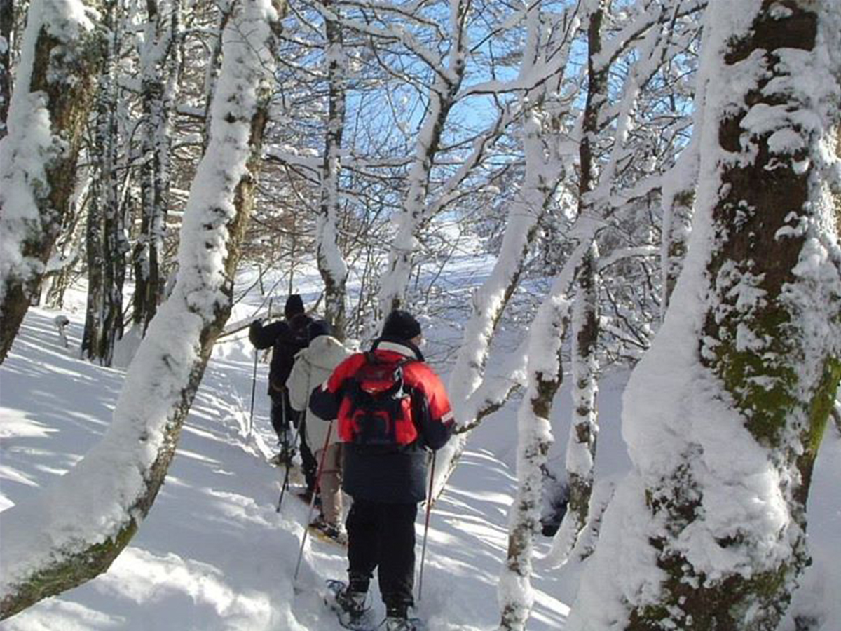 Randonnée pédestre, éducation à l'environnement, loisirs sportifs de nature