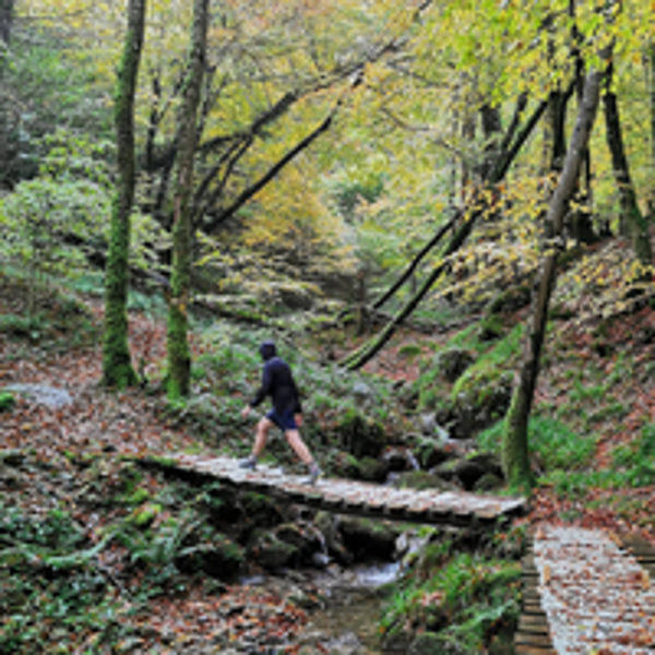 Trail : Du sentier de Wibault au Roc de Peyremaux