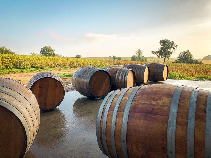 lavage des muits a l'automne