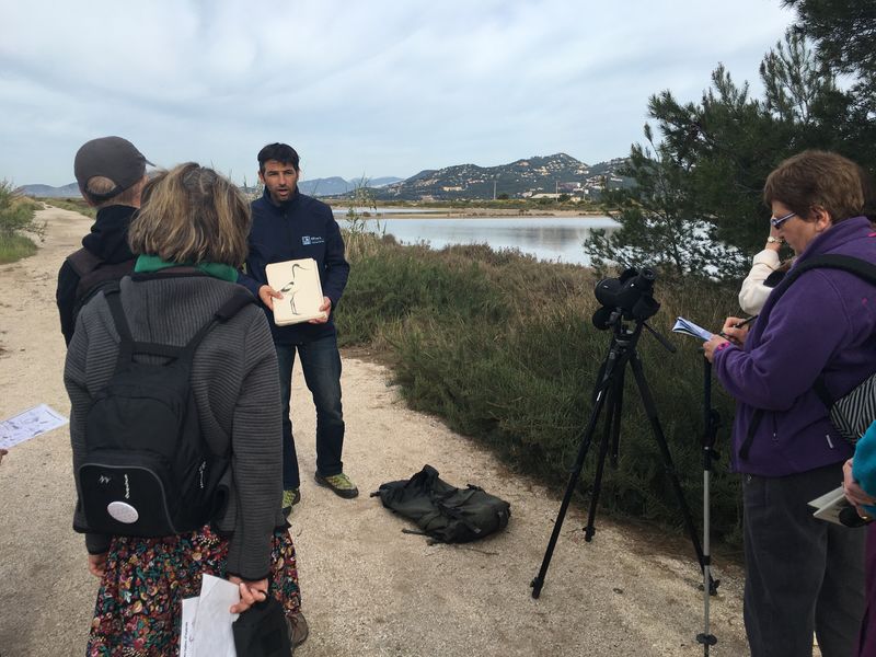 lpo observation des oiseaux visites salin des pesquiers