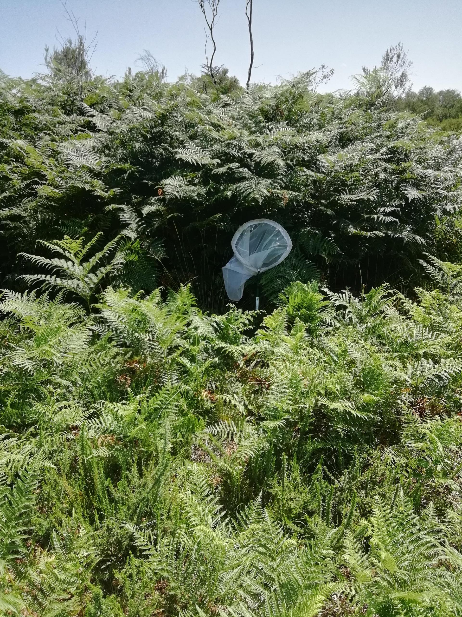 sortie nature :  Tout est vrai! (ou presque...)