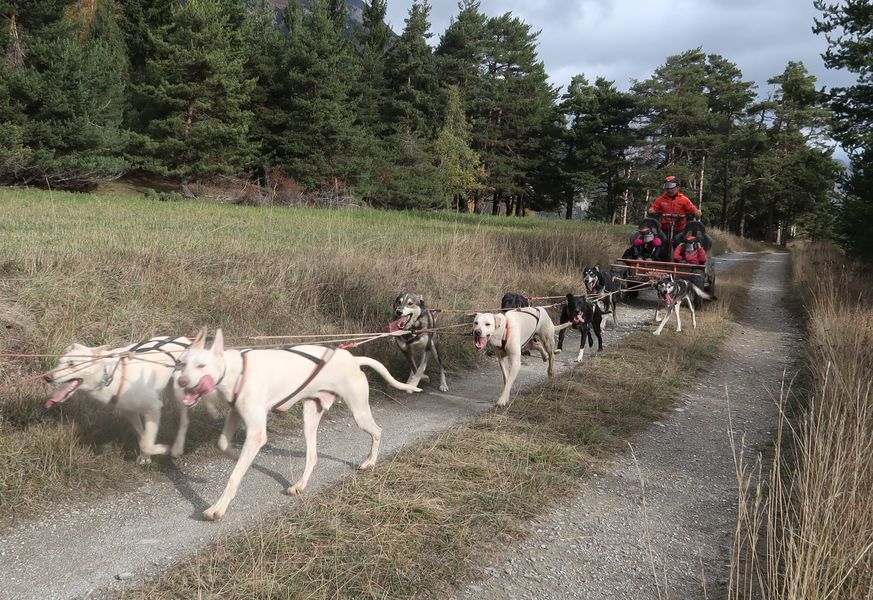 aussois-bapteme-cani-kart