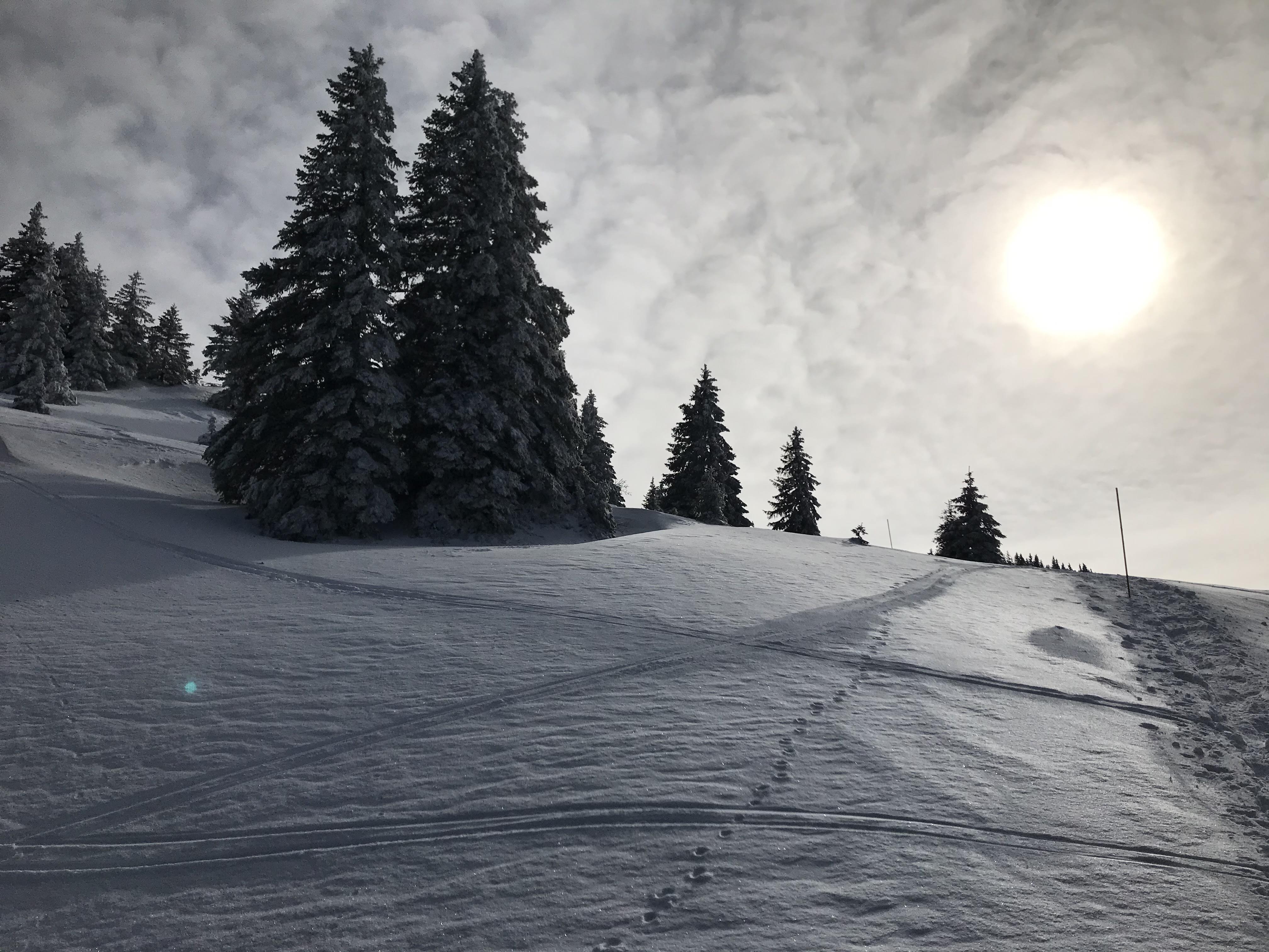 En allant au Crêt de la Neige