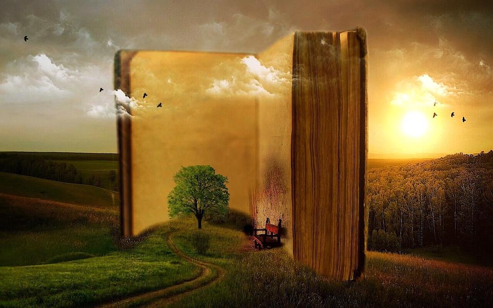 Fest'livre