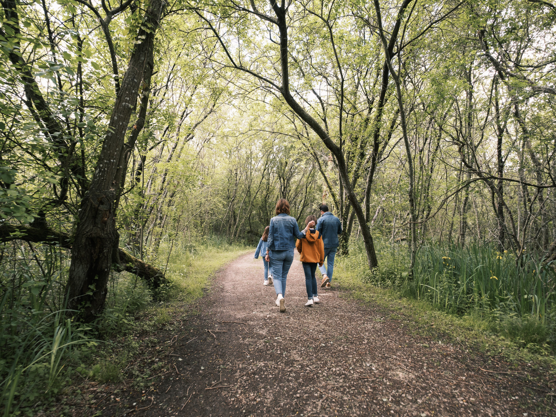 Circuit randonnée - lac de Frace