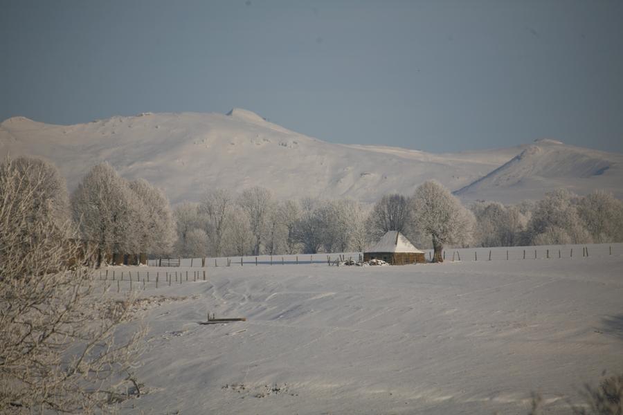 Truffade au Buron de la Salabert avec Gilles Guilloteau