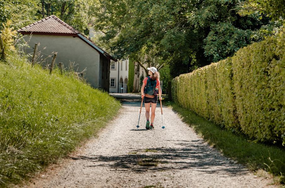 GR® 65 - Chemin de Compostelle - Chartreuse de Pomier