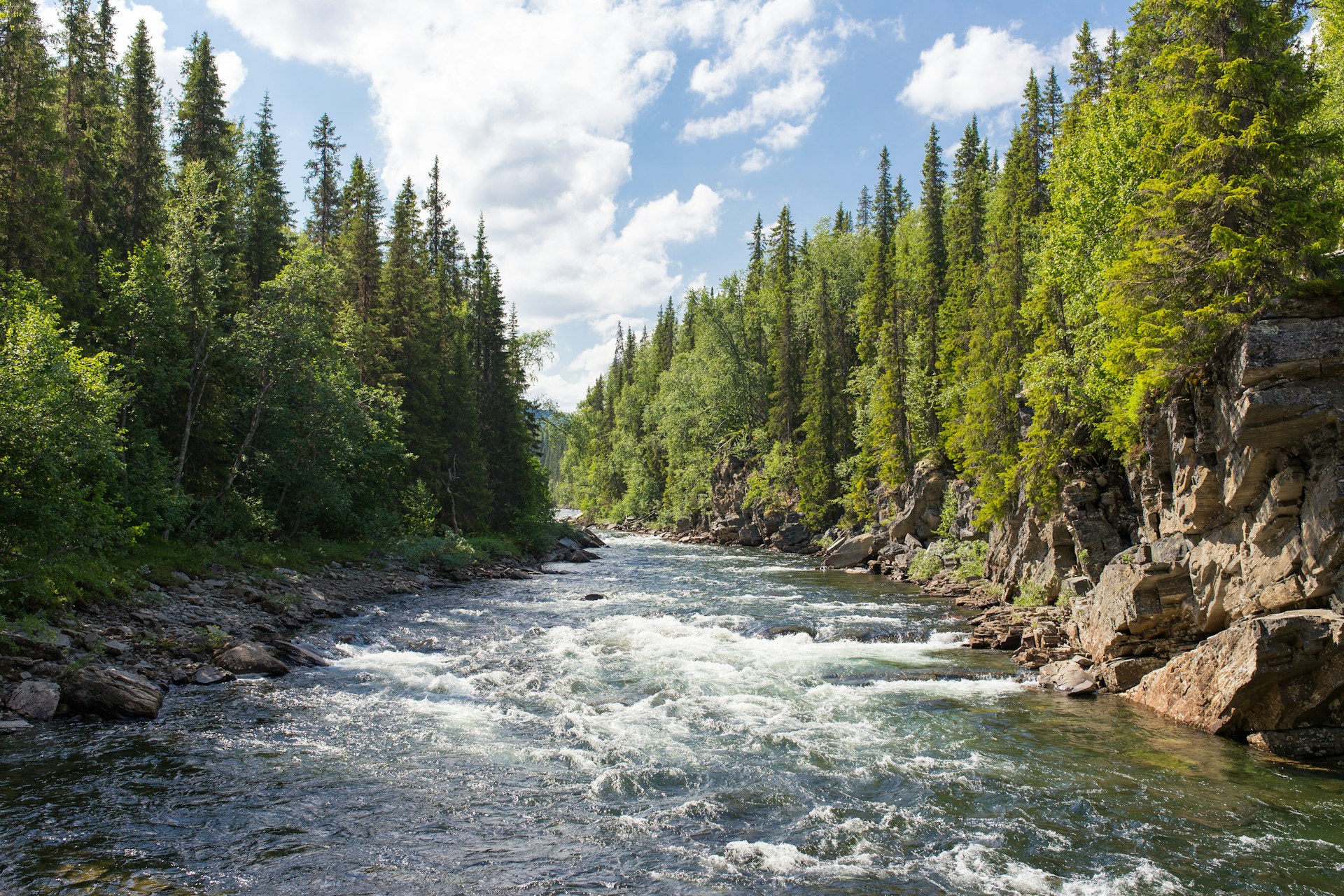 Les petites bêtes de nos rivières_Davézieux