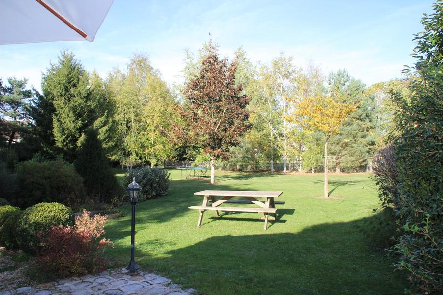 le jardin vu de la terrasse