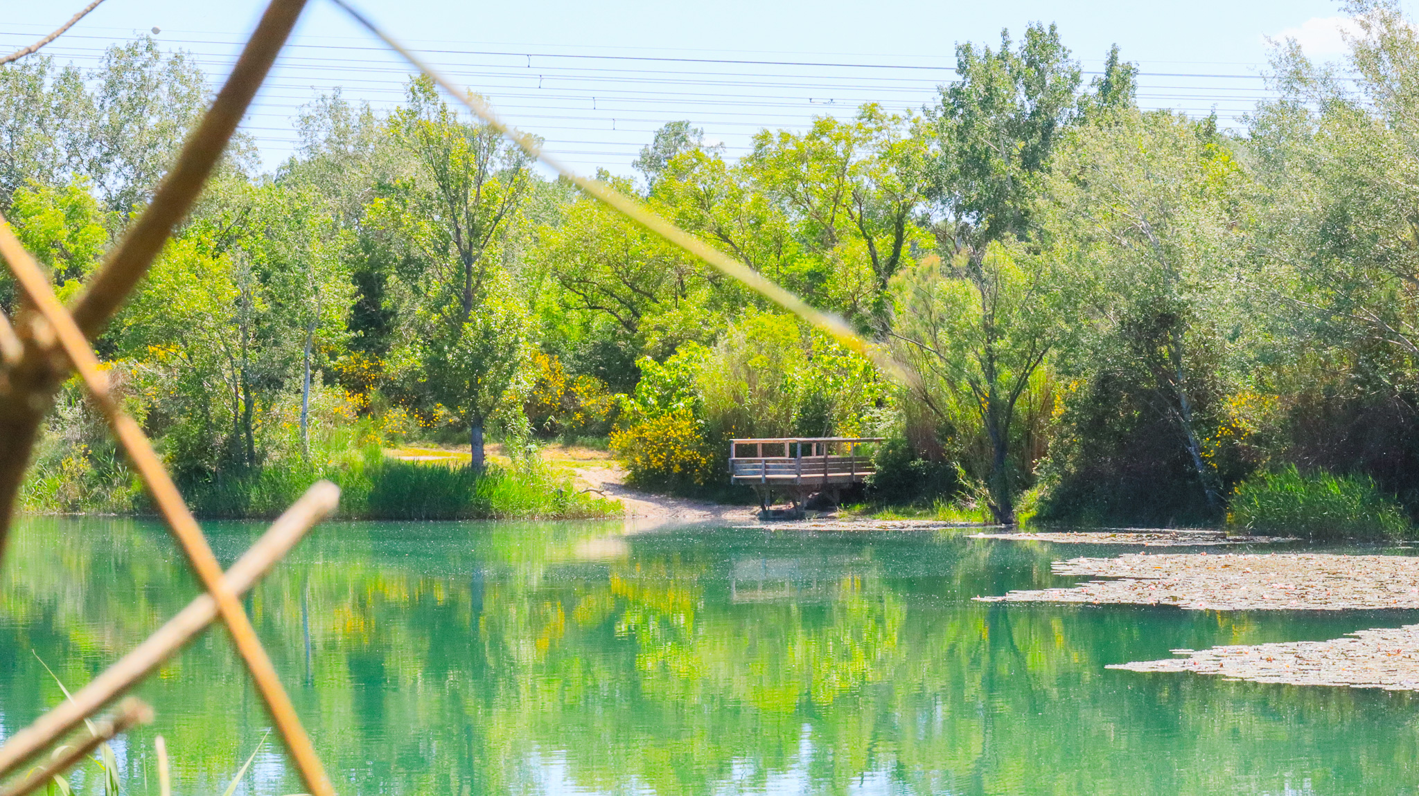 Lac des Iscles