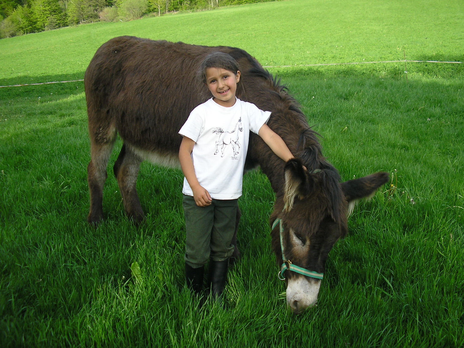 Balade avec les ânes, Ferme équestre Le Rocher