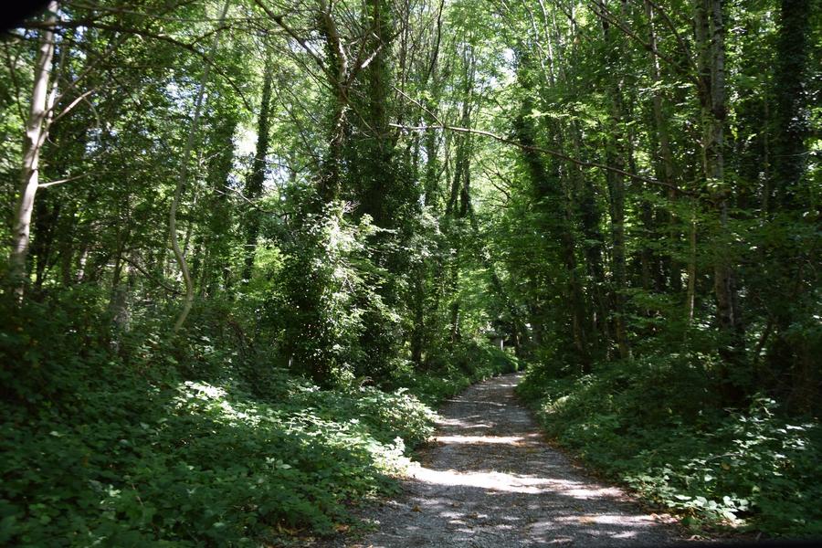 Chemin Sentier du Roc du Verdier