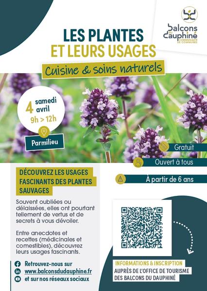Sortie nature : les plantes et leurs usages- cuisine et soins naturels