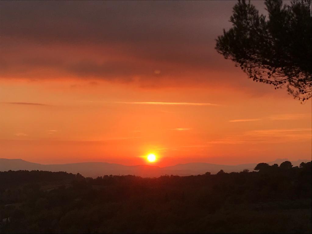 Pin Parasol, Jouques - photo 42