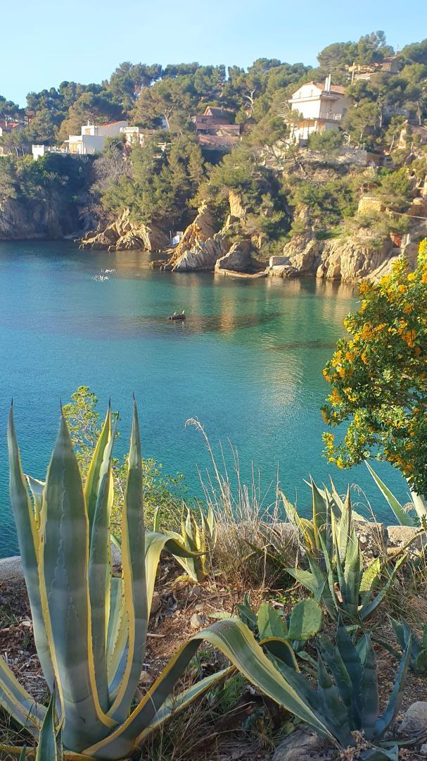 Les Restanques, Ensuès-la-Redonne - photo 23