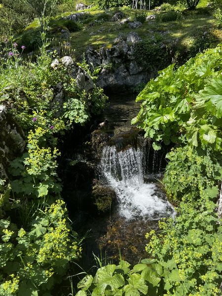 Jardin Botanique La Jaysinia - Visite Groupe