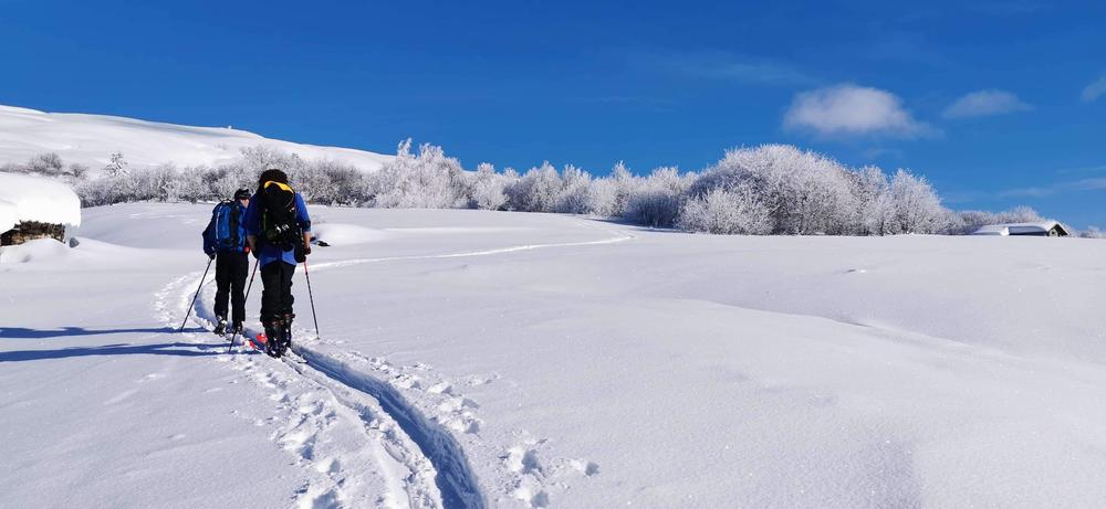 ski de randonnée depuis Valezan
