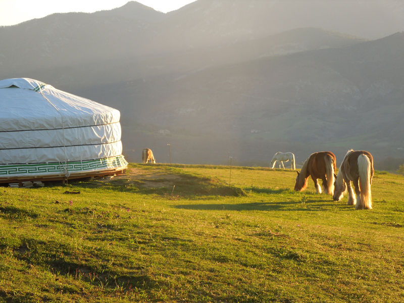 Yourte lever de soleil et chevaux