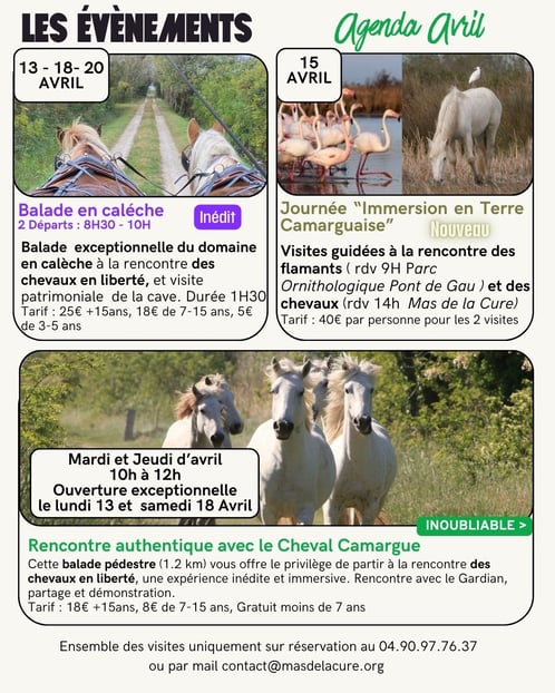 Les évènements d’avril au Mas de la Cure