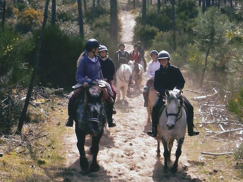 Poney Découverte