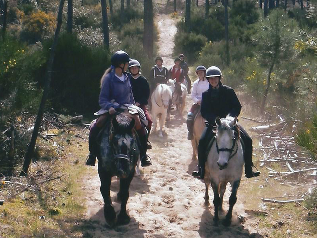 Poney Découverte