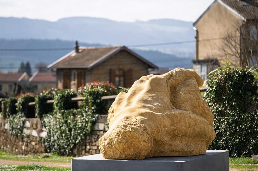 Balade à VTT électrique : D'or et de vin_L'Arbresle